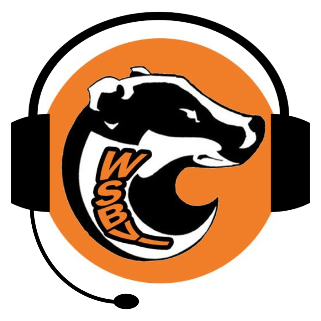 Badger News Podcast logo
