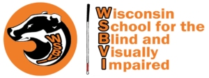 WSBVI Logo